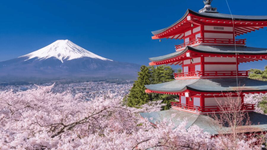 From Tokyo: Mount Fuji and Hakone Private Customize tour - Oishi Park and the changing view of Fuji
