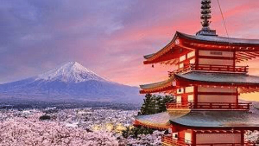 From Tokyo: Mount Fuji And Hakone Private Full Day Trip - Key points to know before booking