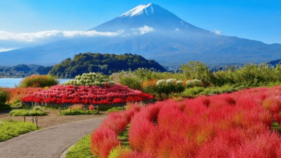 From Tokyo: Mount Fuji And Hakone Private Full Day Trip - Chureito Pagoda and the classic Fuji photograph