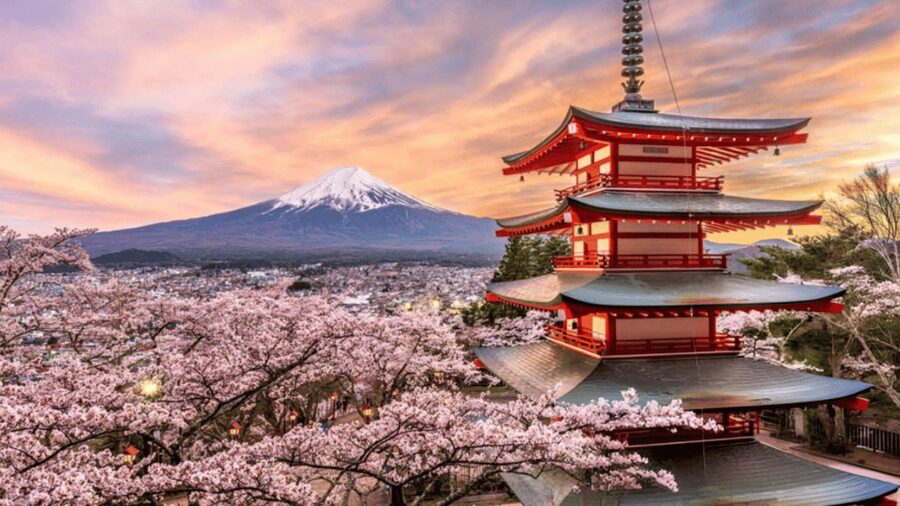 From Tokyo: Mount Fuji And Hakone Private Full Day Trip - Kitaguchi-hongu Fuji Sengen Shrine