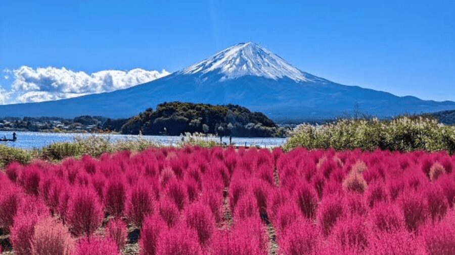 From Tokyo: Mount Fuji And Hakone Private Full Day Trip - Lake Kawaguchi, food, and broad Fuji views
