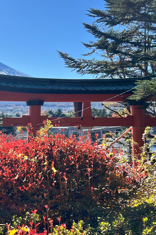 From Tokyo MOUNT FUJI and Lake Kawaguchi-ku Full Day Tour - A Japanese Lunch With Regional Flavor
