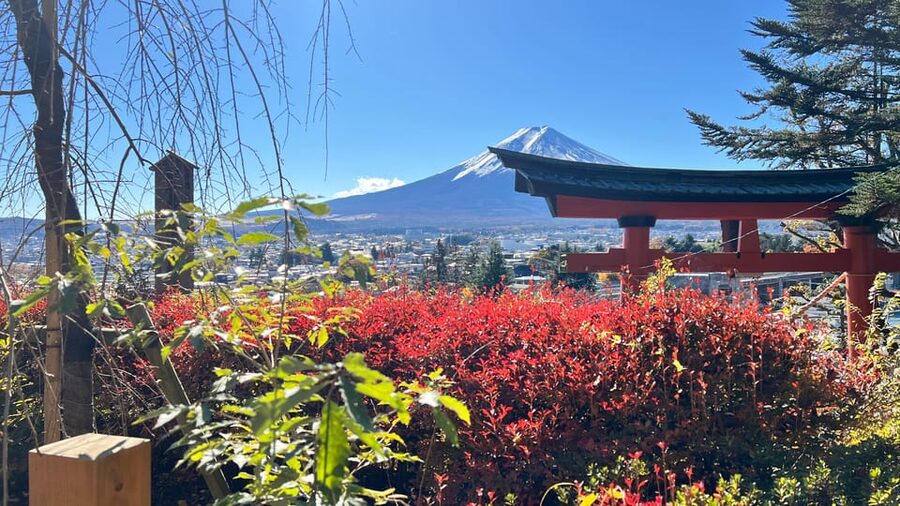 From Tokyo MOUNT FUJI and Lake Kawaguchi-ku Full Day Tour - Saiko Iyashi no Sato Nemba, the Healing Village