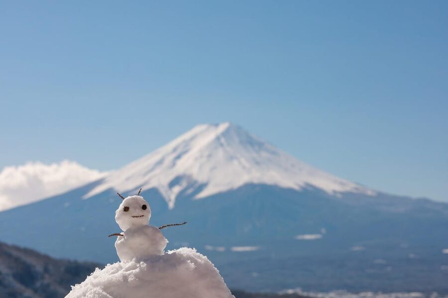 From Tokyo: Mount Fuji Customizable Private Day Tour - Why a private Mount Fuji day makes sense
