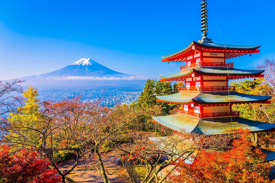 From Tokyo: Mount Fuji Customizable Private Day Tour - Start early for the best chance at Fuji views