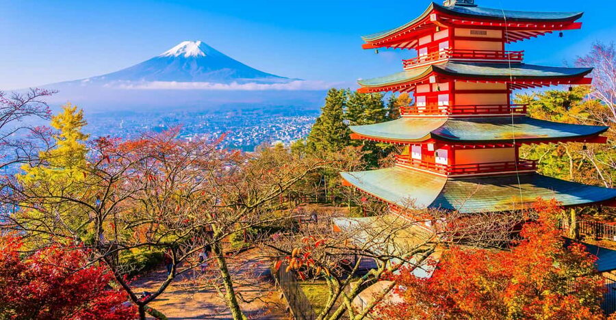 From Tokyo: Mount Fuji Customizable Private Day Tour - Oshino Hakkai, spring water, and old-style houses