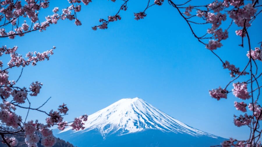 From Tokyo: Mount Fuji Customize Private Day Tour - The long ride from Tokyo is part of the calculation