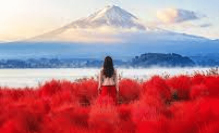 From Tokyo: Mount Fuji Customize Private Tour English Guide - Gotemba Premium Outlets and shopping time