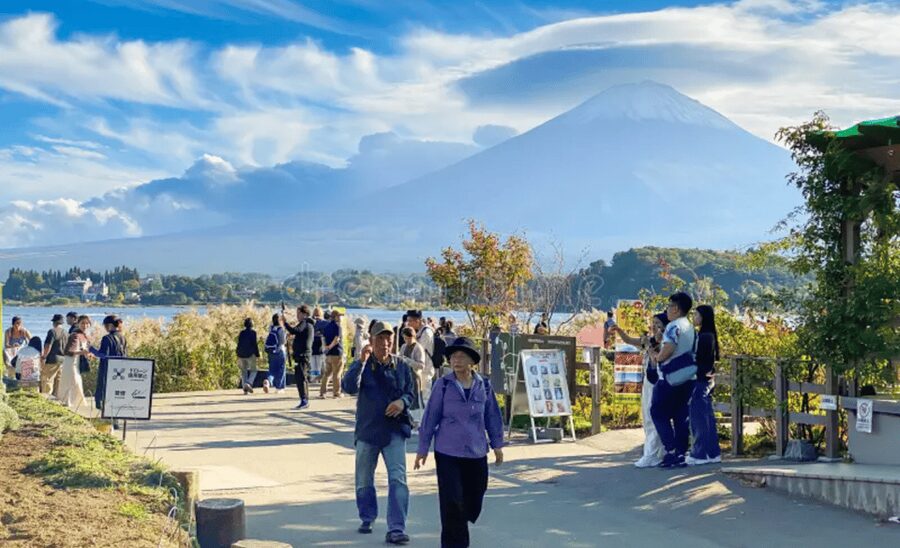 From Tokyo: Mount Fuji Customize Private Tour English Guide - Oshino Hakkai’s spring water and village paths