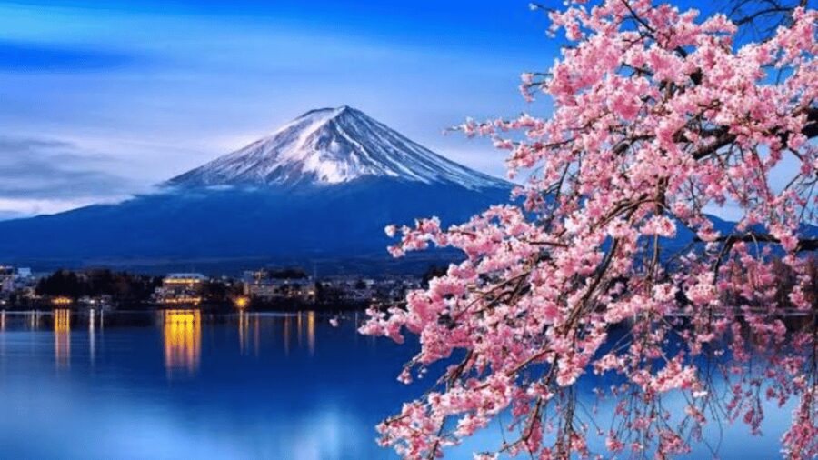 From Tokyo: Mount Fuji Customize Private Tour English Guide - Hakone, Lake Ashi, and Owakudani