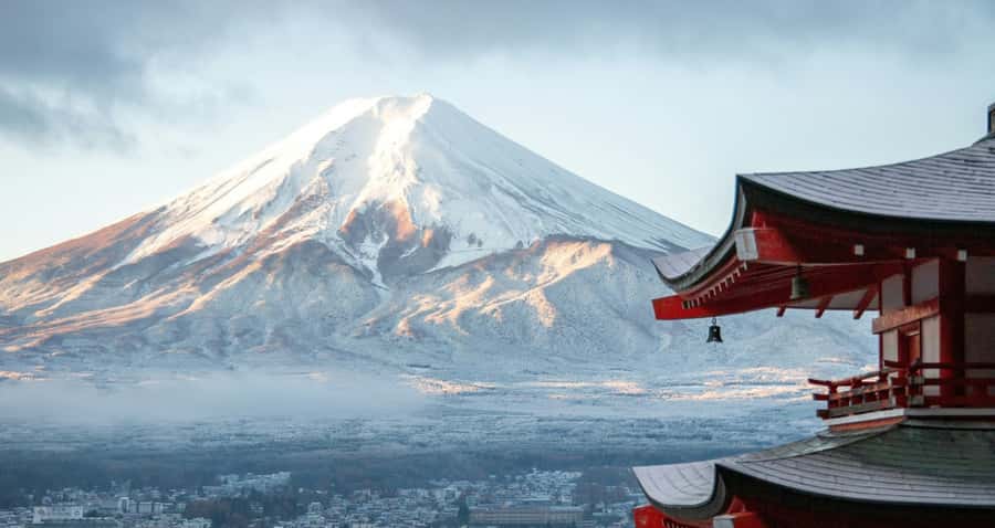 From Tokyo: Mount fuji Full-Day Customised Private Tour - What the private vehicles and guides add