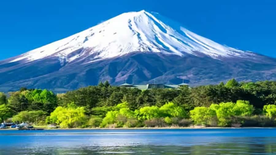 From Tokyo: Mount fuji Full-Day Customised Private Tour - Chureito Pagoda and the classic Fuji photograph