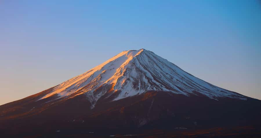 From Tokyo: Mount fuji Full-Day Customised Private Tour - Kitaguchi Hongu Fuji Sengen Shrine beneath tall trees