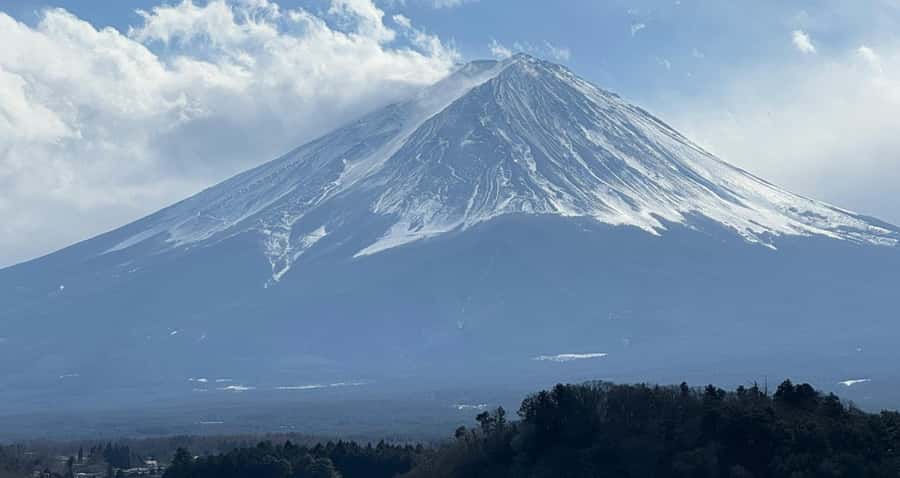 From Tokyo: Mount fuji Full-Day Customised Private Tour - Oishi Park, flowers with a Fuji backdrop