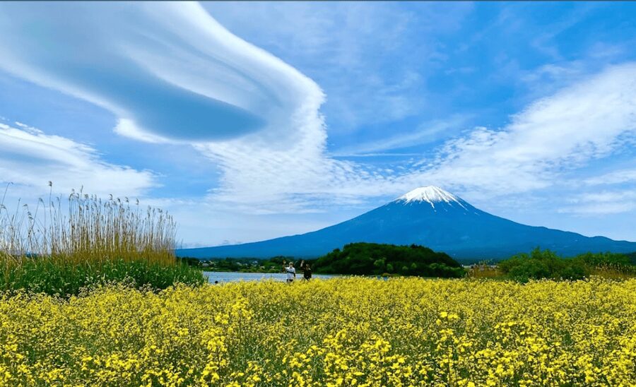 From Tokyo: Mount Fuji Full Day Customizable Private Tour - Oshino Hakkai and Fuji’s traditional side