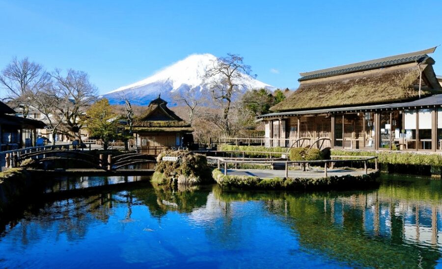 From Tokyo: Mount Fuji Full Day Customizable Private Tour - Lake Ashi and the Open-Air Museum