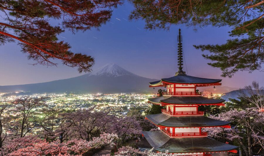 From Tokyo: Mount Fuji Full Day Customizable Private Tour - Starting early from Tokyo