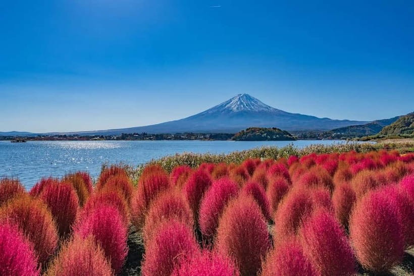 From Tokyo: Mount Fuji Full Day Private Customizable Tour - Key things to know before you go