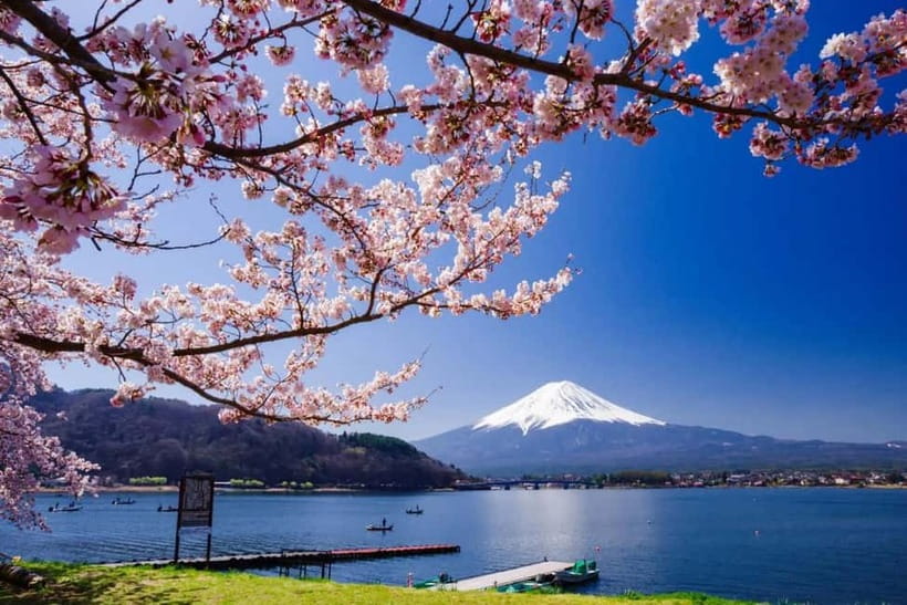 From Tokyo: Mount Fuji Full Day Private Customizable Tour - Start early to protect your day