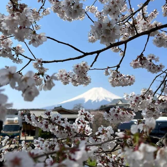 From Tokyo: Mount Fuji Full Day Private Tour (Customizable) - Mount Fuji 5th Station at high altitude