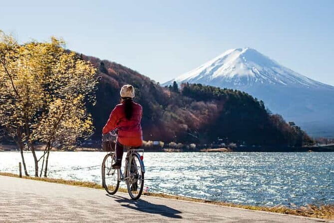 From Tokyo: Mount Fuji Full Day Private Tour With Engish Driver - Key points at a glance