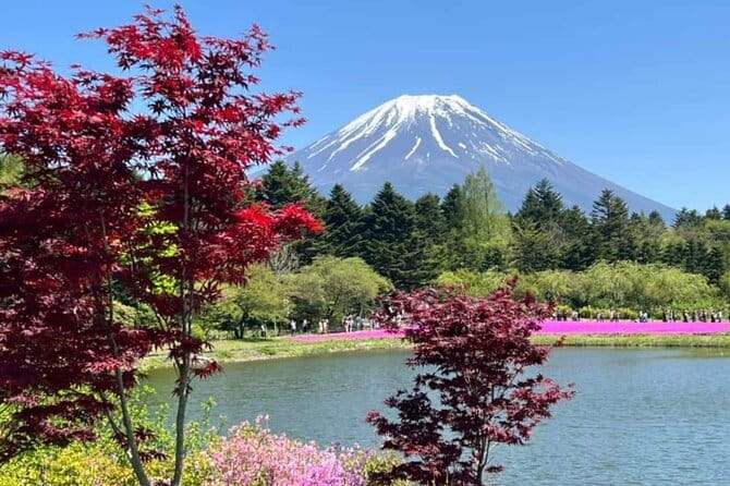 From Tokyo: Mount Fuji Full Day Private Tour With Engish Driver - A private route from Tokyo to Japan’s most famous peak