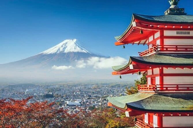 From Tokyo: Mount Fuji Full Day Private Tour With Engish Driver - Oishi Park for a clean Fuji photograph