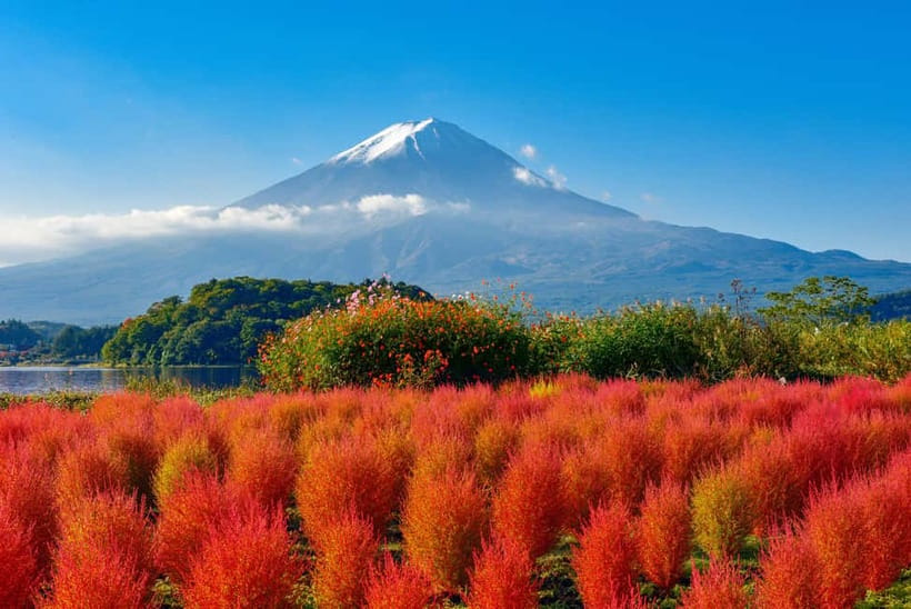 From Tokyo: Mount Fuji Full-Day Sightseeing Trip - Why this Fuji day trip works from Tokyo