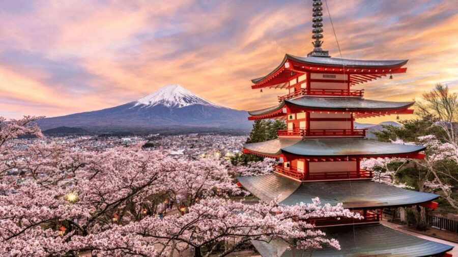 From Tokyo:Mount Fuji & Hakone Customized Private Tour - Why a private Fuji day trip makes sense