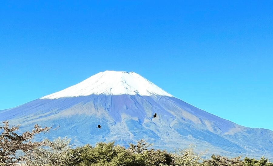 From Tokyo:Mount Fuji & Hakone Customized Private Tour - Oshino Hakkai’s clear ponds and traditional houses