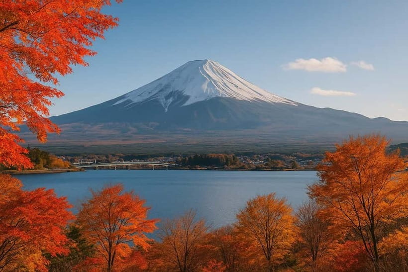 From Tokyo: Mount Fuji One-Day Private Customizable Tour - What the $271 price really buys you