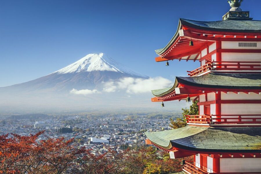 From Tokyo: Mount Fuji Private Day Tour - What the private car is really worth