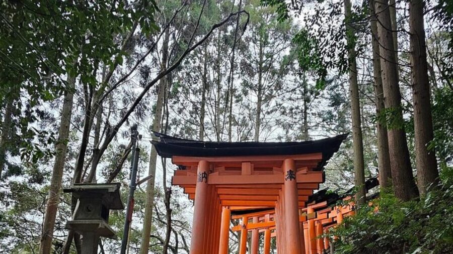 From Tokyo : Mount Fuji Private Day Tour with English Driver - Oshino Hakkai, pretty ponds with a practical caveat