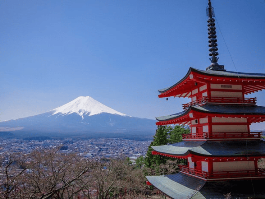 From Tokyo:Mount Fuji private day tour with English driver - Arakura Sengen Park and the Five-Story Pagoda