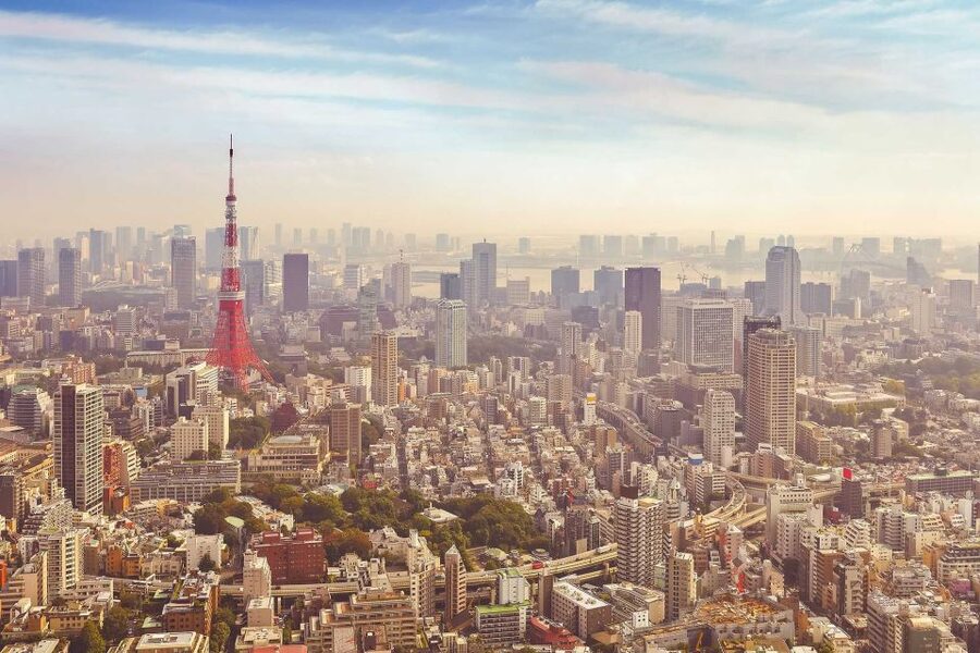 From Tokyo: Mount Fuji Private Day Tour - Choosing the Fuji 5th Station