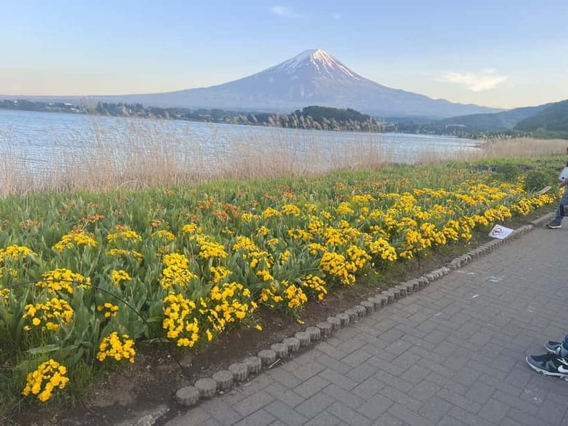 From Tokyo: Mount Fuji Private Tour with a Driver/Guide - Key points to know before booking