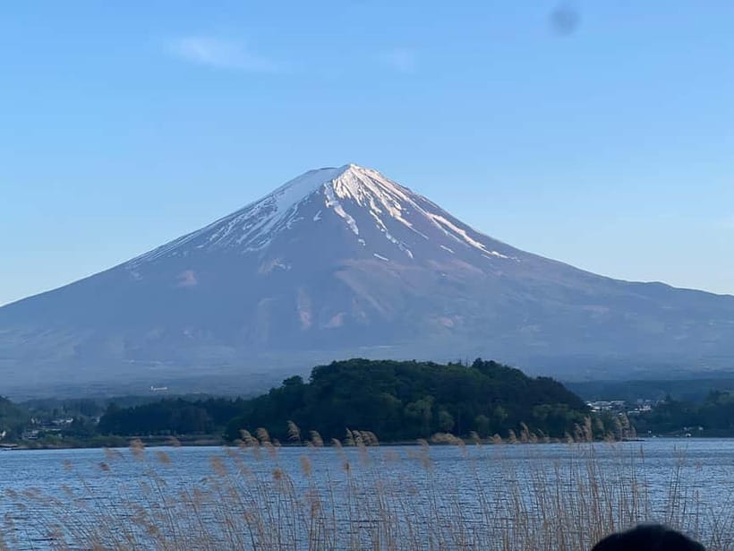 From Tokyo: Mount Fuji Private Tour with a Driver/Guide - Chureito Pagoda and the classic Fuji view