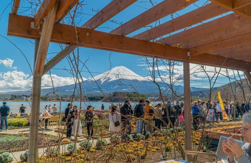 From Tokyo: Mount Fuji Private Tour with a Driver/Guide - The vehicle, guide, and long ride from Tokyo
