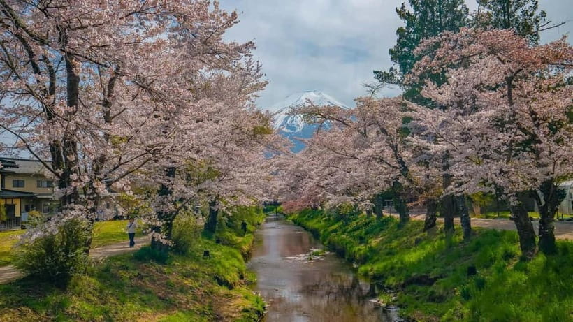 From Tokyo: Mount Fuji Private Tour with a Driver/Guide - Starting high at Mount Fuji’s 5th Station