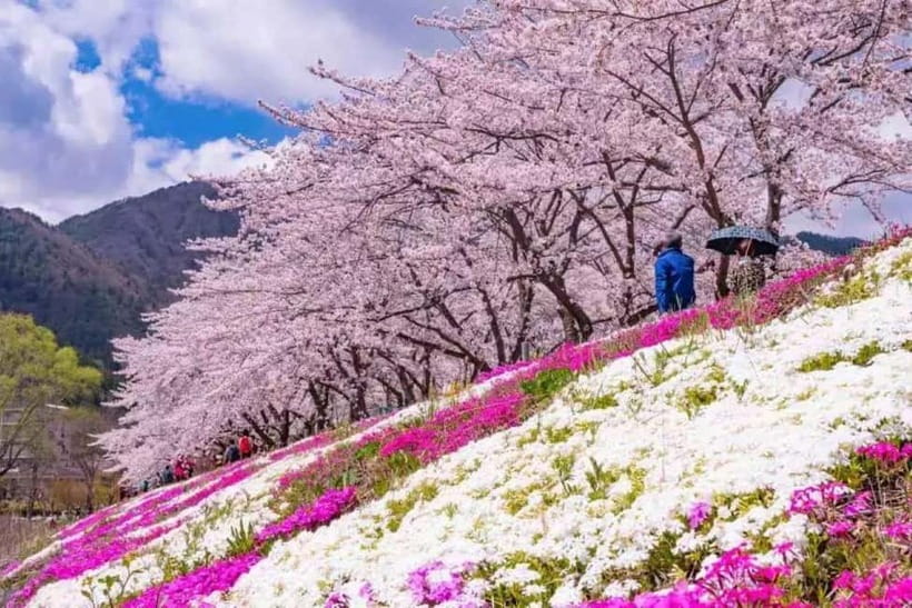 From Tokyo: Mt. Fuji 5th station and Oshino Hakkai Day Trip - Mt. Fuji’s 5th Station at 2,300 meters