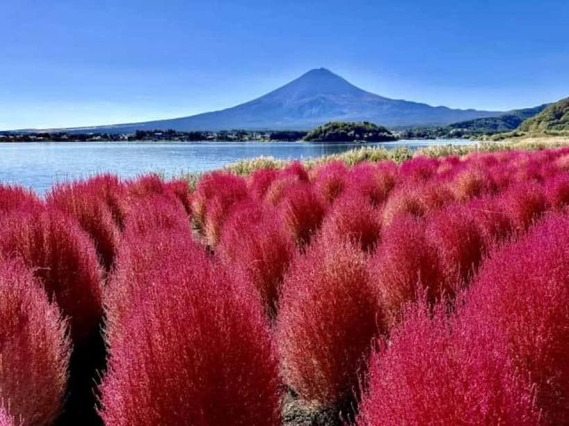 From Tokyo: Mt. Fuji 5th station and Oshino Hakkai Day Trip - What the $103 price really covers