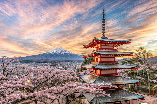 From Tokyo: Mt Fuji and Hakone Private Day Trip - Key points to know before booking