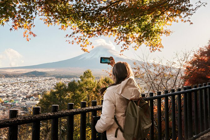 From Tokyo: Mt Fuji and Hakone Private Day Trip - The Mt Fuji route: five scenic stops