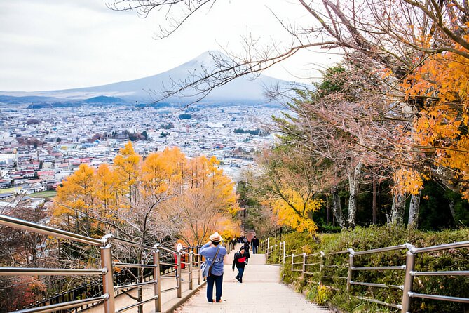 From Tokyo: Mt Fuji and Hakone Private Day Trip - What the driver adds, and what the driver does not