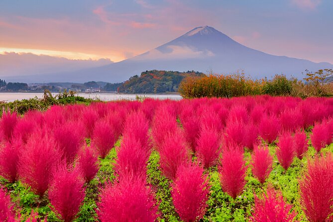 From Tokyo: Mt Fuji and Hakone Private Day Trip - Timing, traffic, and the ten-hour limit