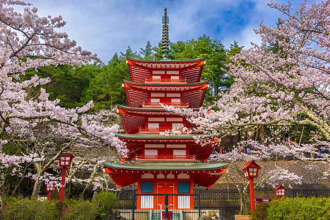 From Tokyo: Mt Fuji and Hakone Private Day Trip - Price, tickets, and real value