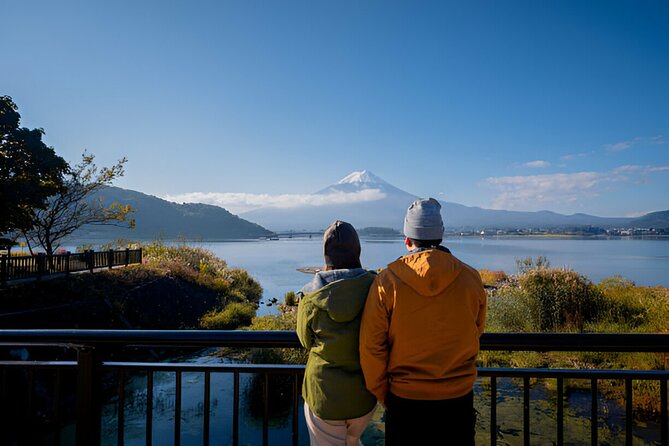 From Tokyo: Mt Fuji and Hakone Private Day Trip - Who should book this private day?