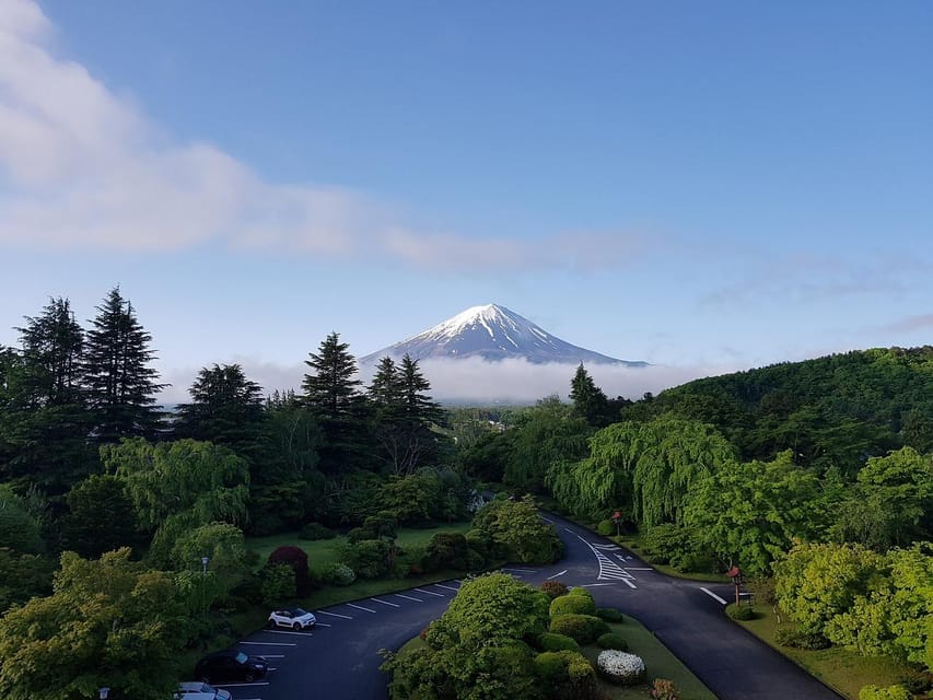 From Tokyo: Mt. Fuji And Hakone Private Sightseeing Day Trip - Two ways to spend your Mount Fuji day
