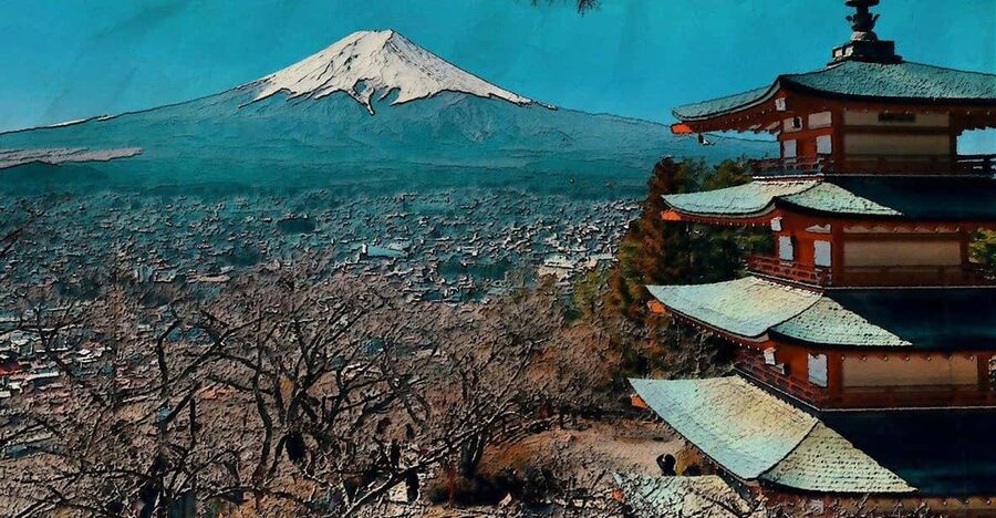 From Tokyo: Mt. Fuji And Hakone Private Sightseeing Day Trip - Guide quality and what to clarify