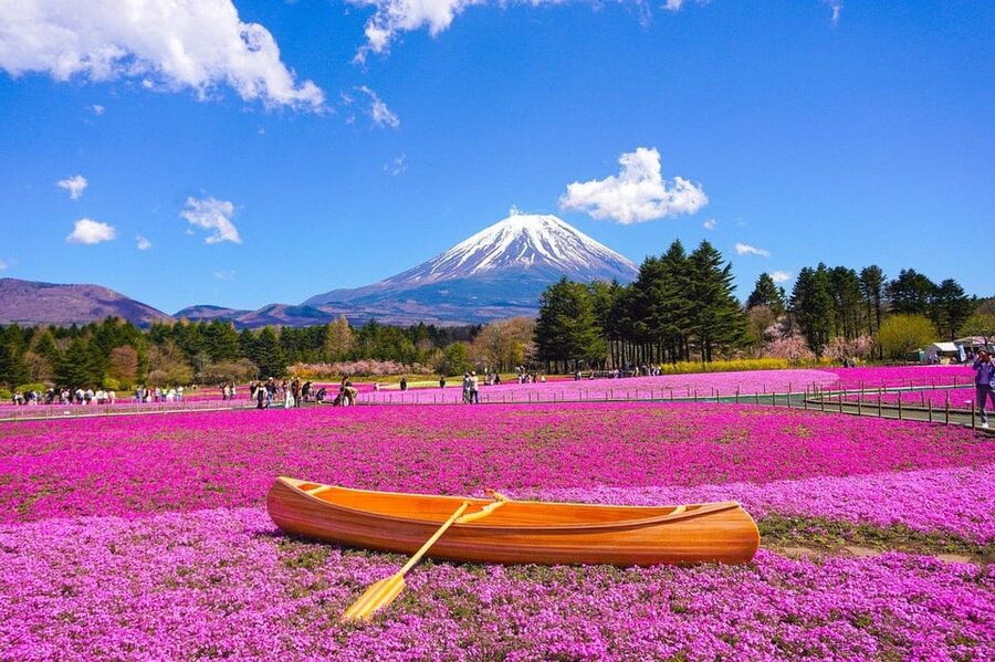 From Tokyo: Mt. Fuji And Hakone Private Sightseeing Day Trip - Lake Kawaguchi and Oishi Park